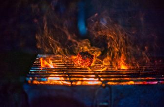 Best Gas Grill under $300 for Delicious and Easy Home Grilling.