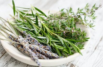 rosemary substitute