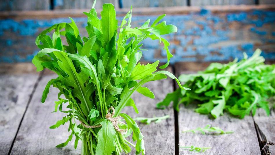 Arugula is the best substitute for parsley, italian parsley vs curly parsley, fresh parsley substitute, substitute for fresh parsley, sub for parsley 