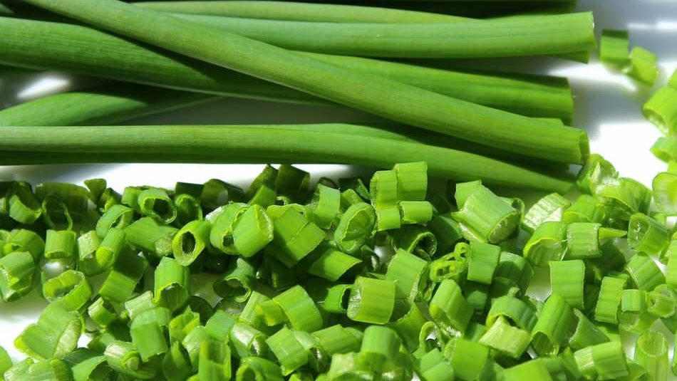 Chives, chive substitute, dried chives substitute, substitute for chives in recipe, substitute for fresh chives, substitute for dried chives, substitute for chives as herbs, alternative to chives 