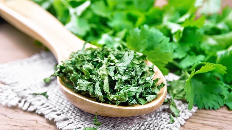 Substitute For Parsley Everything About Parsley And 10 Replacements