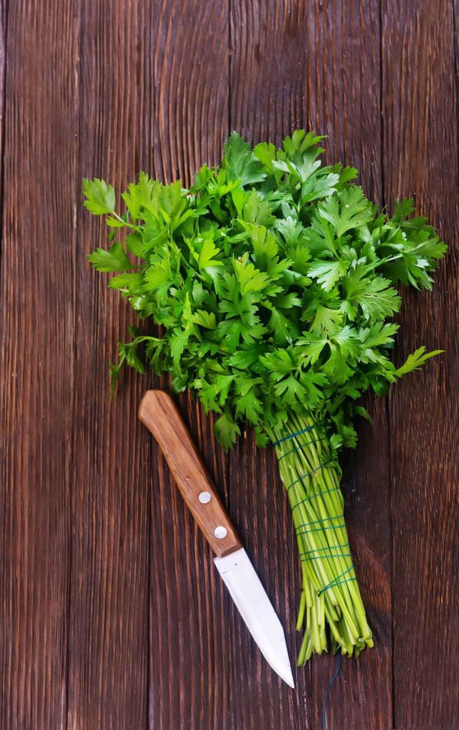 Substitute For Parsley Everything About Parsley And 10 Replacements