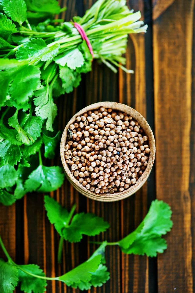 Coriander 3 684x1024 