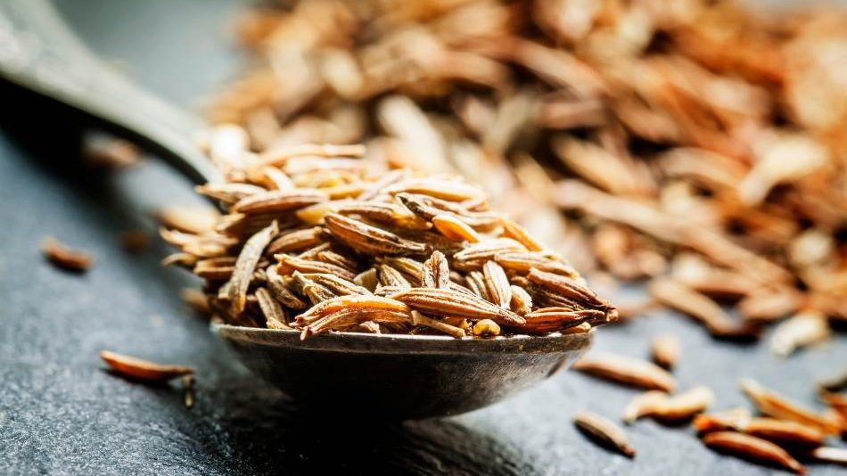 Cumin is the best substitute for coriander all time. coriander substitute, 