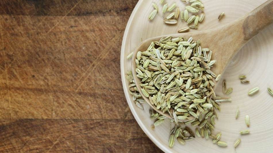 Fennel is a good substitute for coriander