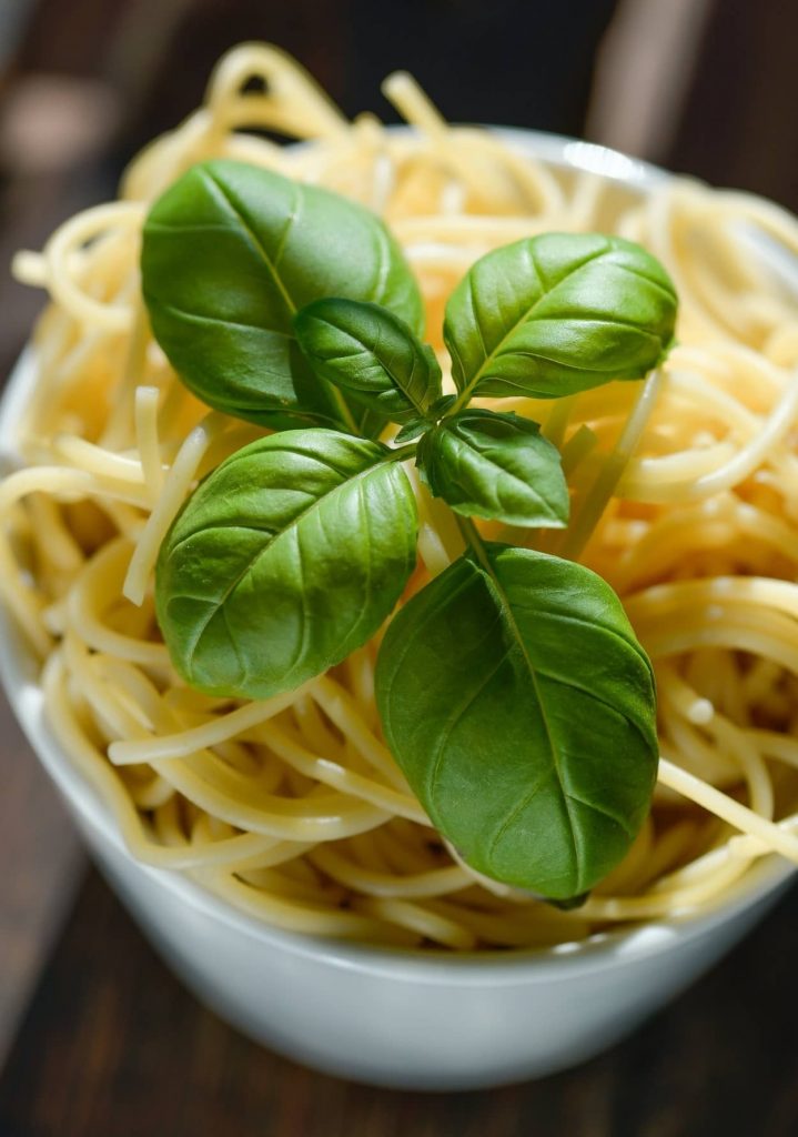 10 Most Essential Substitutes for Basil in cimbad