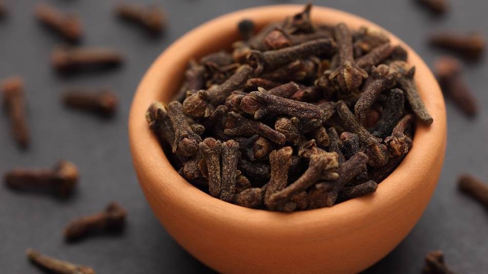 Cloves is a good choice for coriander seed substitute. substitute for cloves cinamon stick coriander seeds and chili peppers