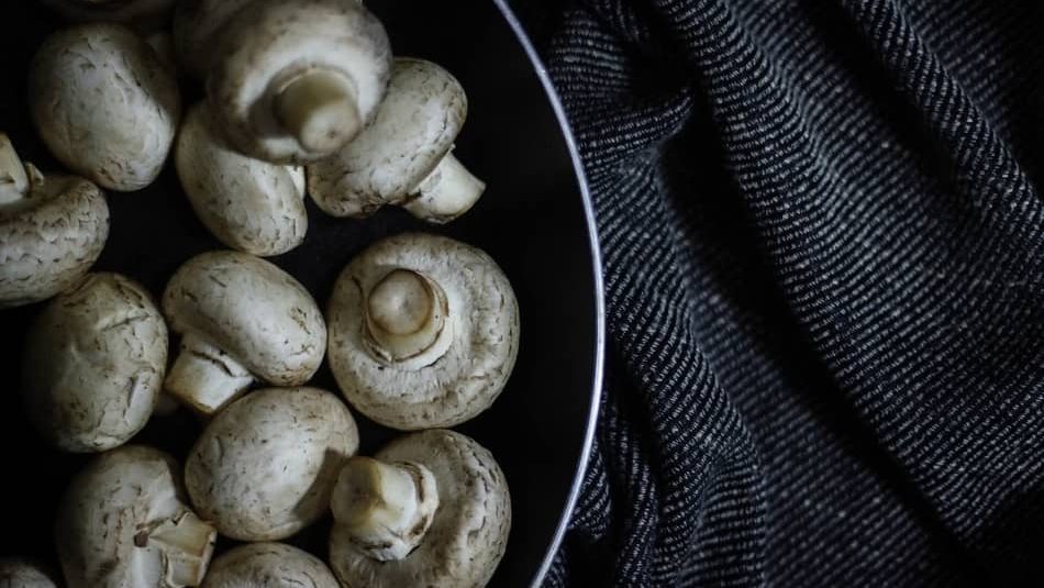 Button mushrooms is one of the best Types of Mushrooms in 2021 for any mushroom recipe and best substitute for mushrooms 2021 