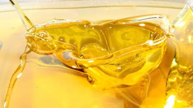 Does Cooking Oil Freeze Everything You Should Know About Freezing