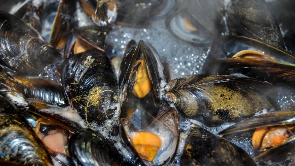 how to reheat mussels in oven