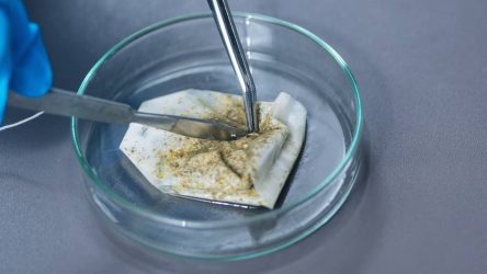 Is It Ok To Drink Expired Tea Bags?